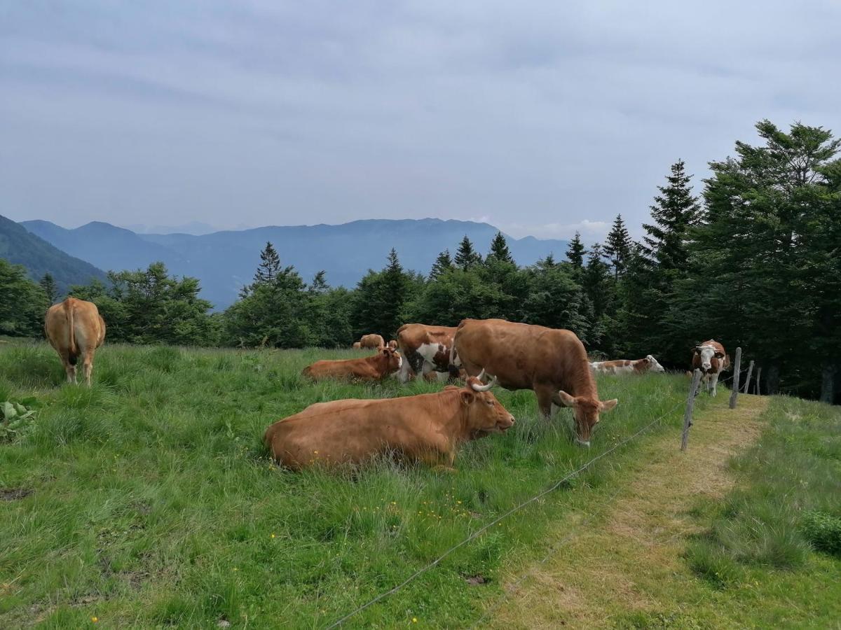 Apartma Na Ravnicah Cerkno Exterior photo